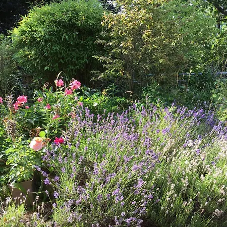 Apartment Wiesemann Parkappartements&dependance - Nähe Ettelsberg-talstation *