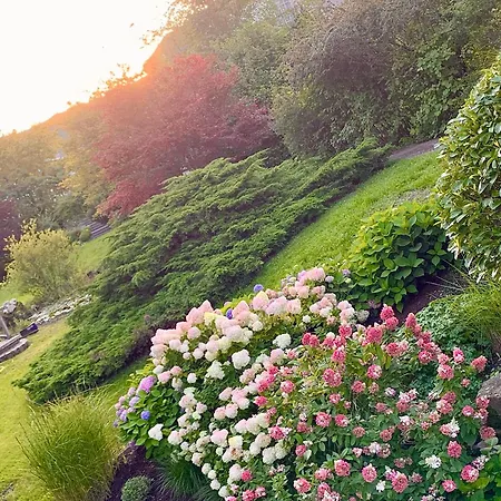 Wiesemann Parkappartements&dependance - Nähe Ettelsberg-talstation