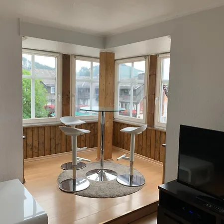 아파트 Wiesemann Parkappartements & Dependance - Naehe Ettelsberg-talstation 빌링겐