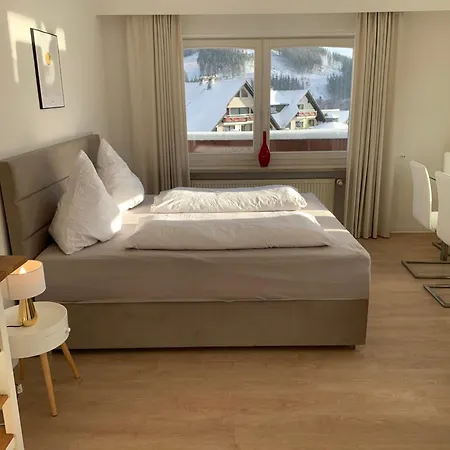 Wiesemann Parkappartements & Dependance - Naehe Ettelsberg-talstation Apartmán Willingen (Upland)