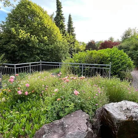 Wiesemann Parkappartements&dependance - Nähe Ettelsberg-talstation Apartment Willingen (Upland)