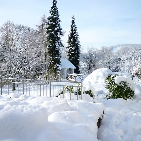 Wiesemann Parkappartements & Dependance - Naehe Ettelsberg-talstation Willingen (Upland)