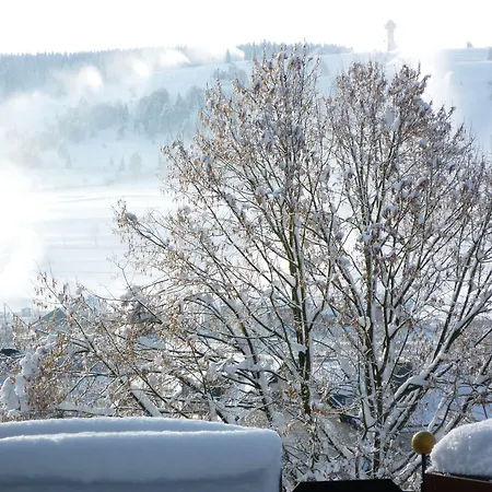 Wiesemann Parkappartements&dependance - Nähe Ettelsberg-talstation Apartment