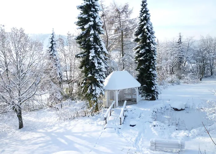 Appartement Wiesemann Parkappartements&dependance - Nähe Ettelsberg-talstation *