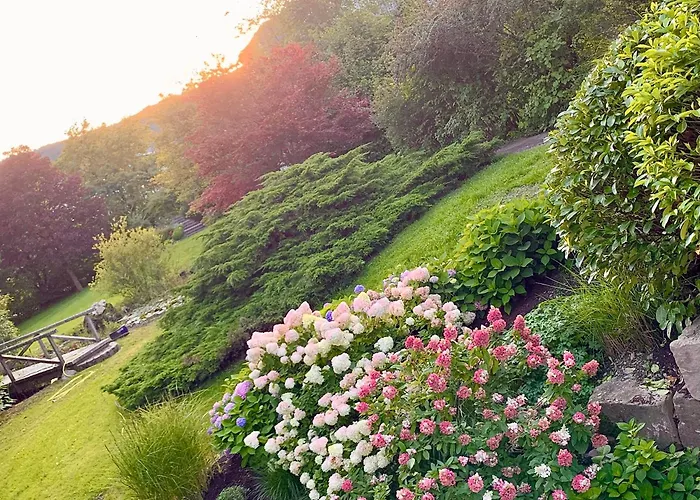 Wiesemann Parkappartements&dependance - Nähe Ettelsberg-talstation