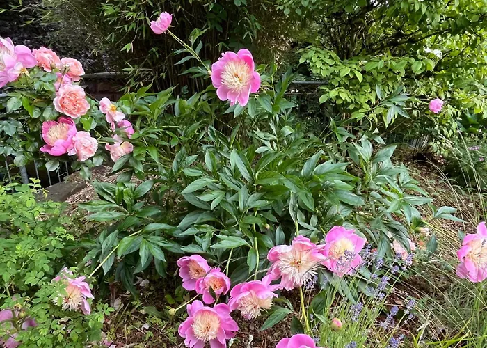 Wiesemann Parkappartements&dependance - Nähe Ettelsberg-talstation *